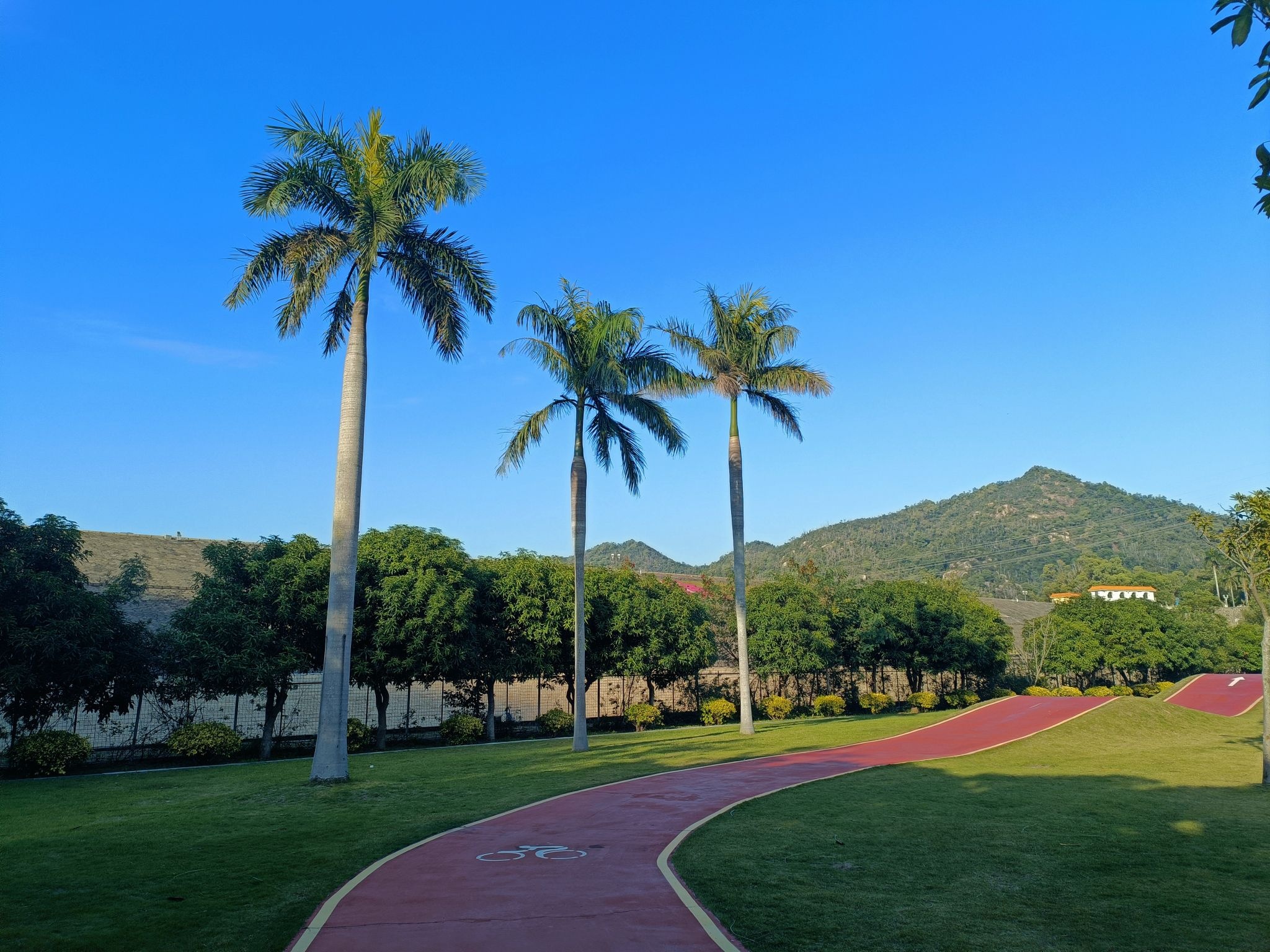 大镜山社区公园