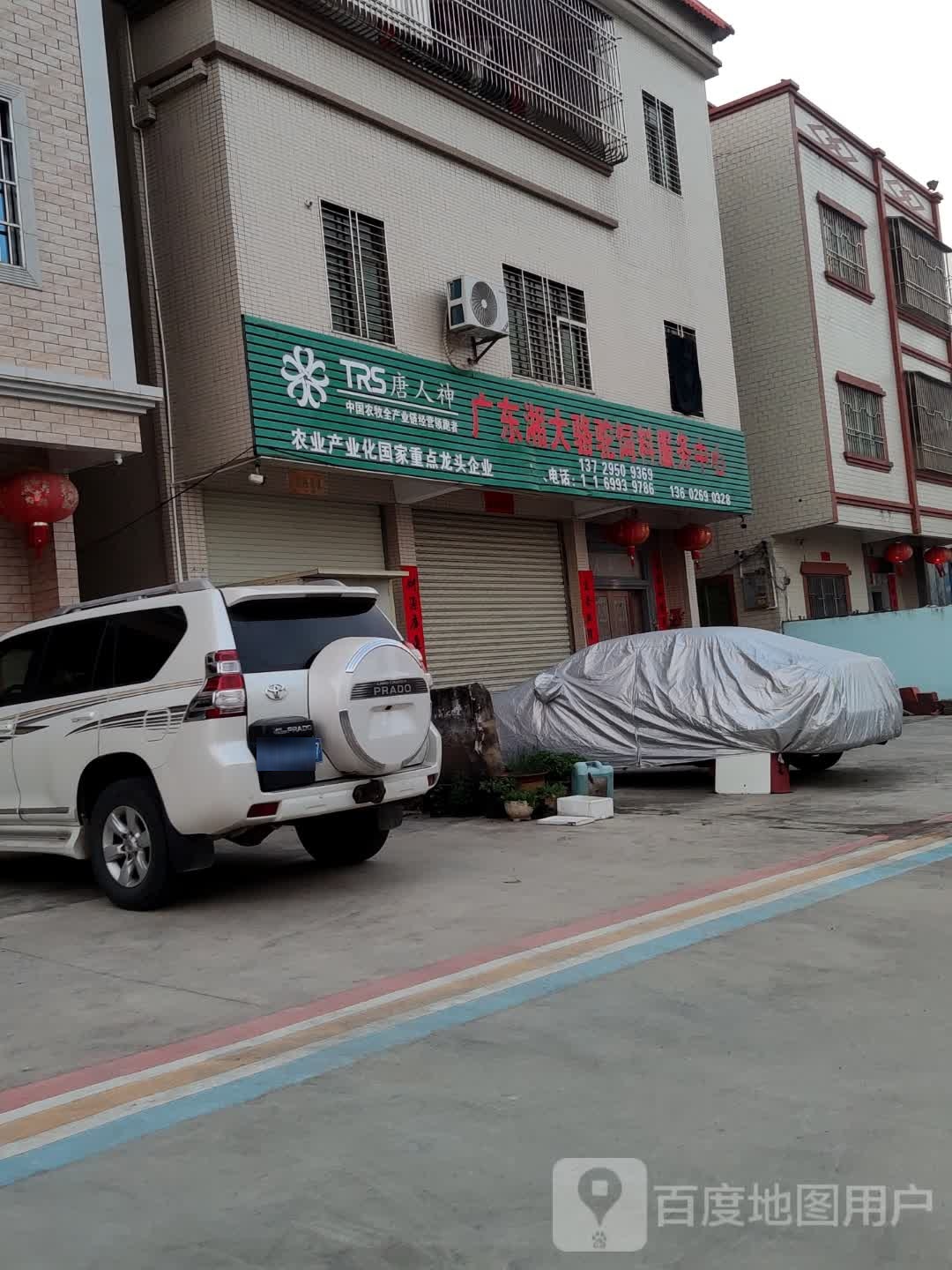 广东湘大骆驼饲料服务中心