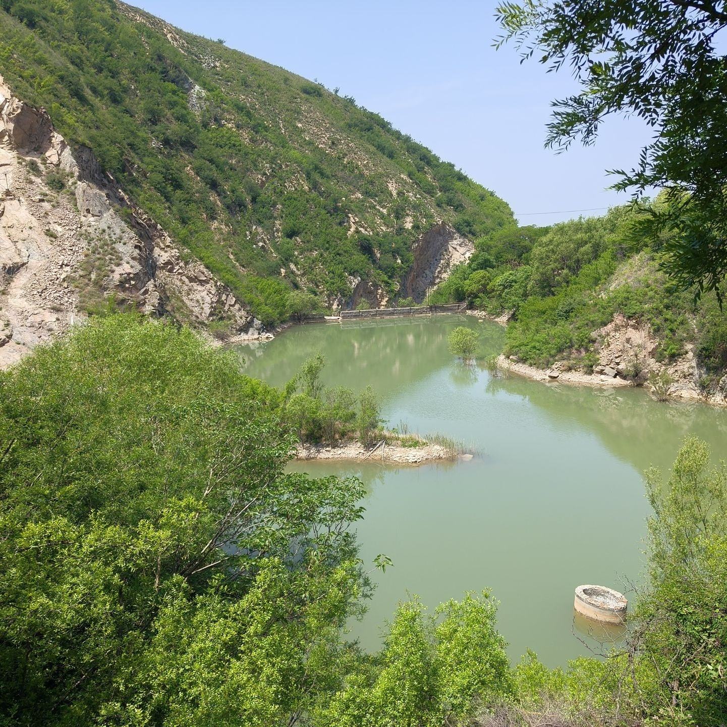 九龙山