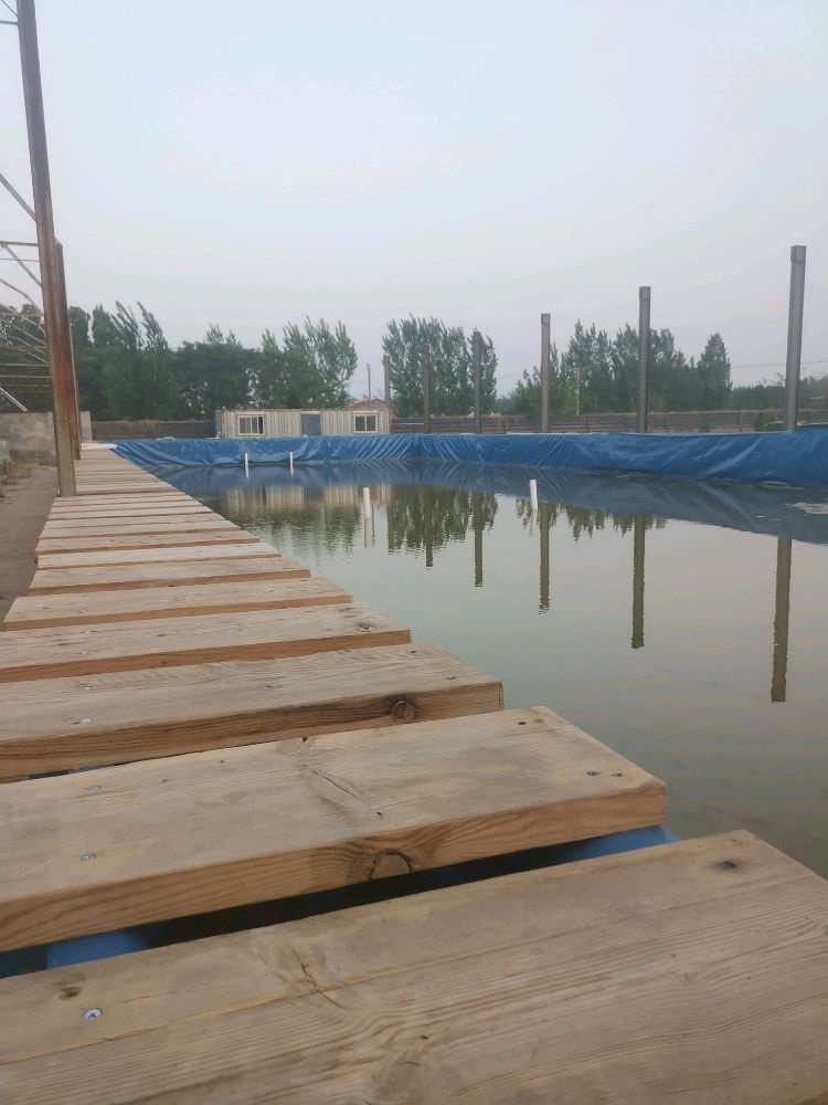 游泳学习基地