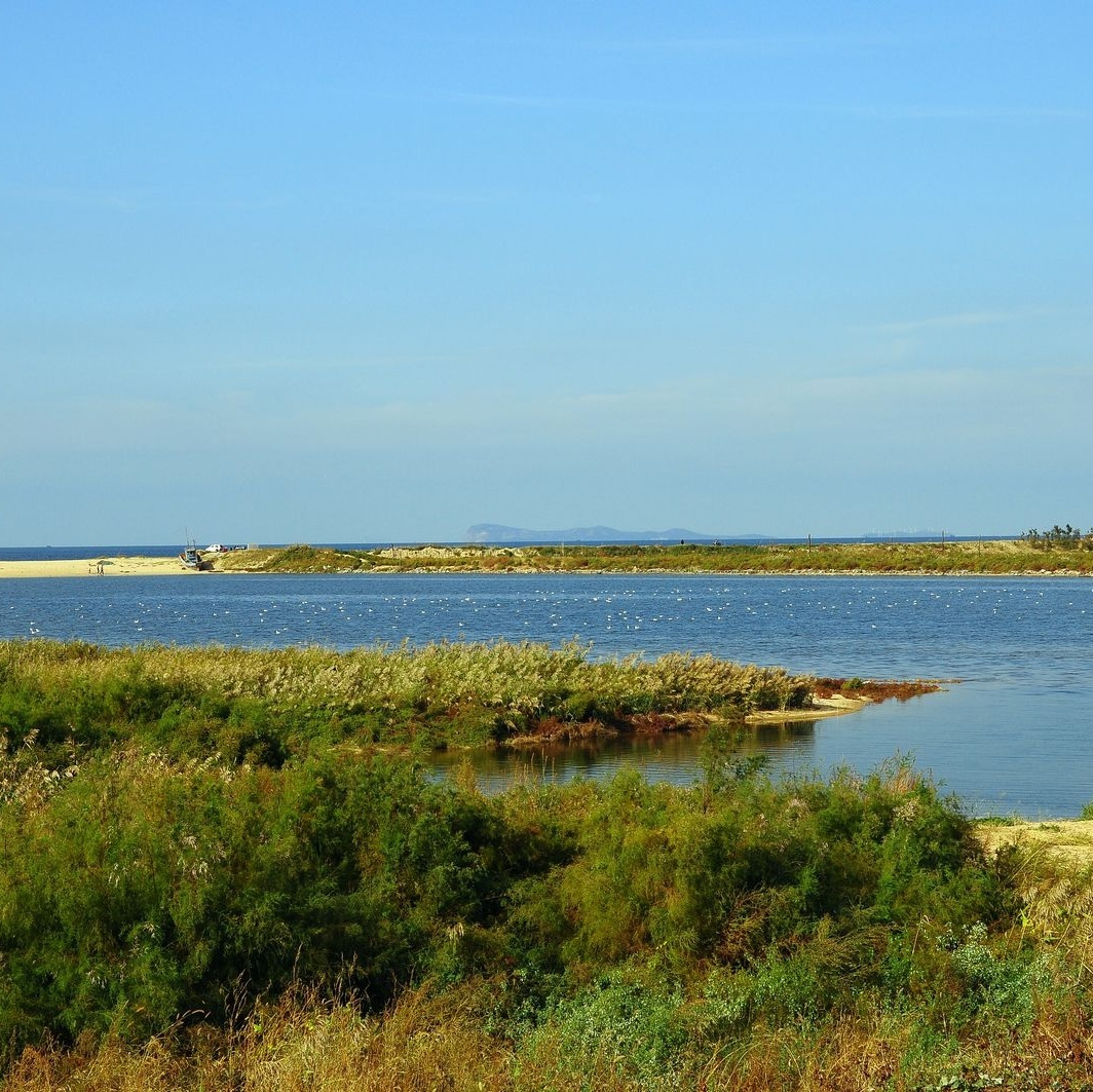 黄水河湿地公园