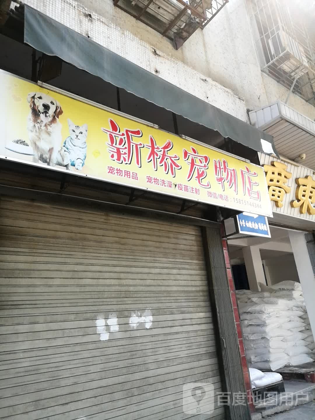 新桥萌宠物店