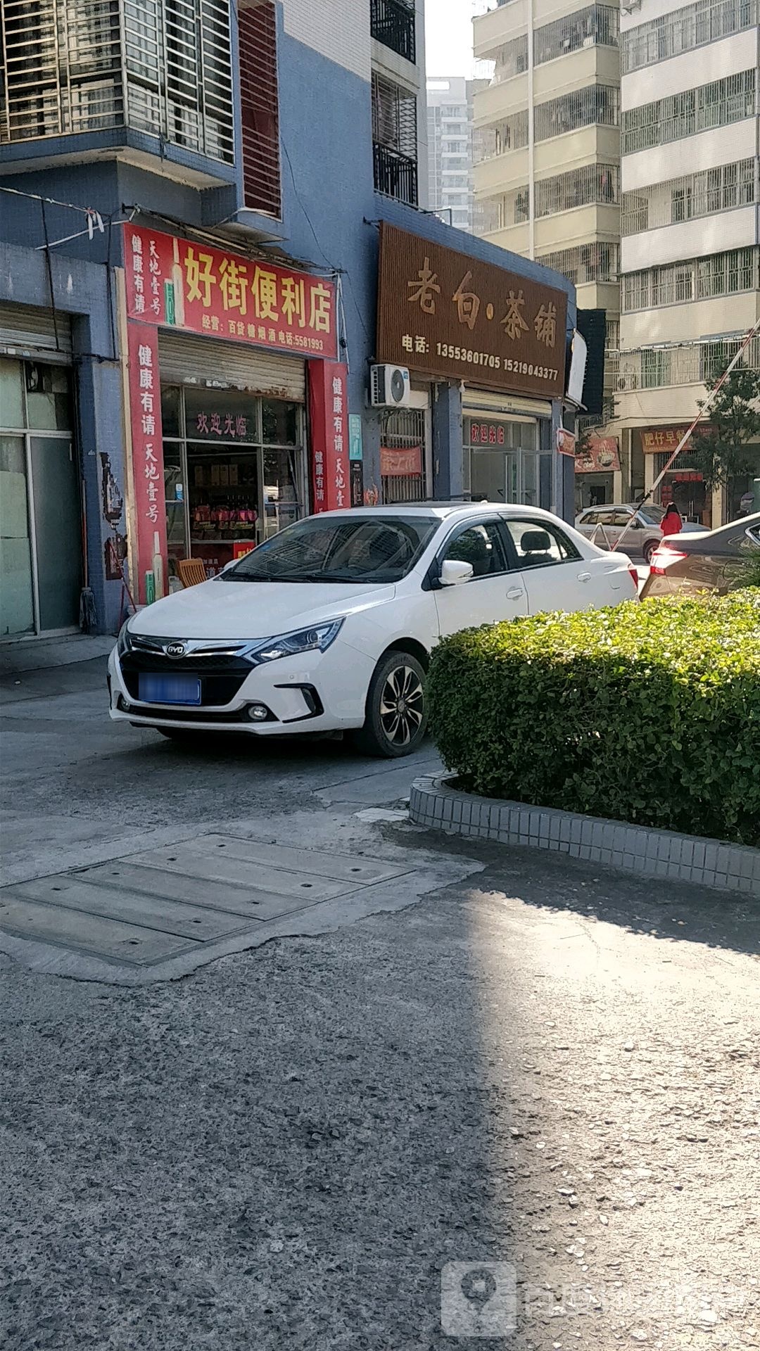 老白茶布
