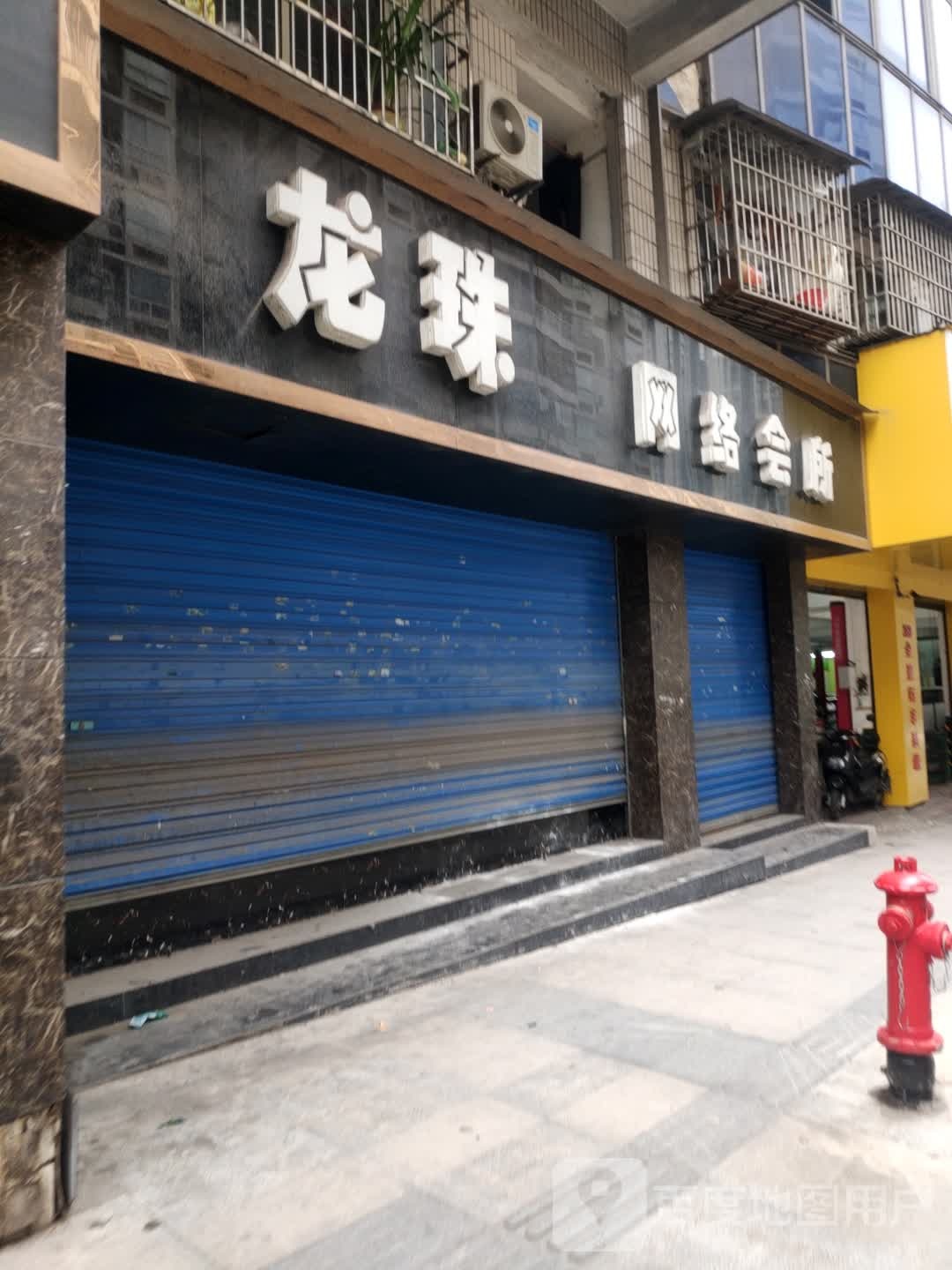 龙珠网洛会所