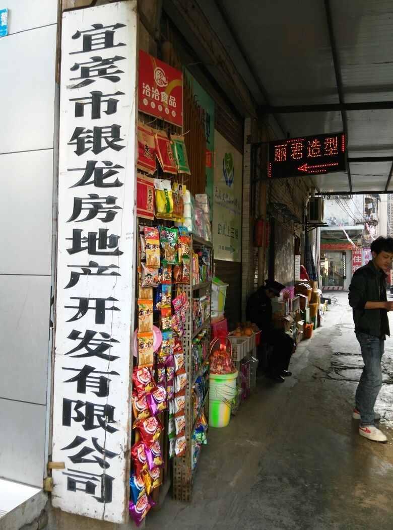 宜宾市银龙房地产开发有限公司