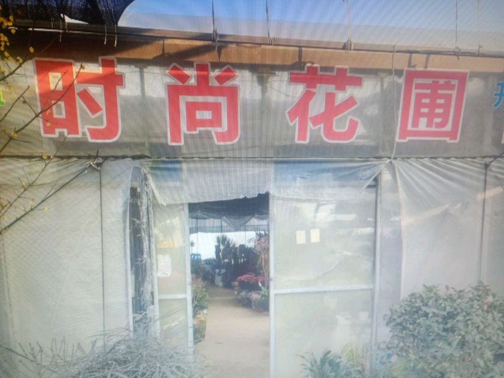 时尚花圃