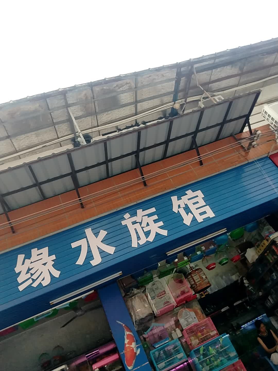情缘水族馆