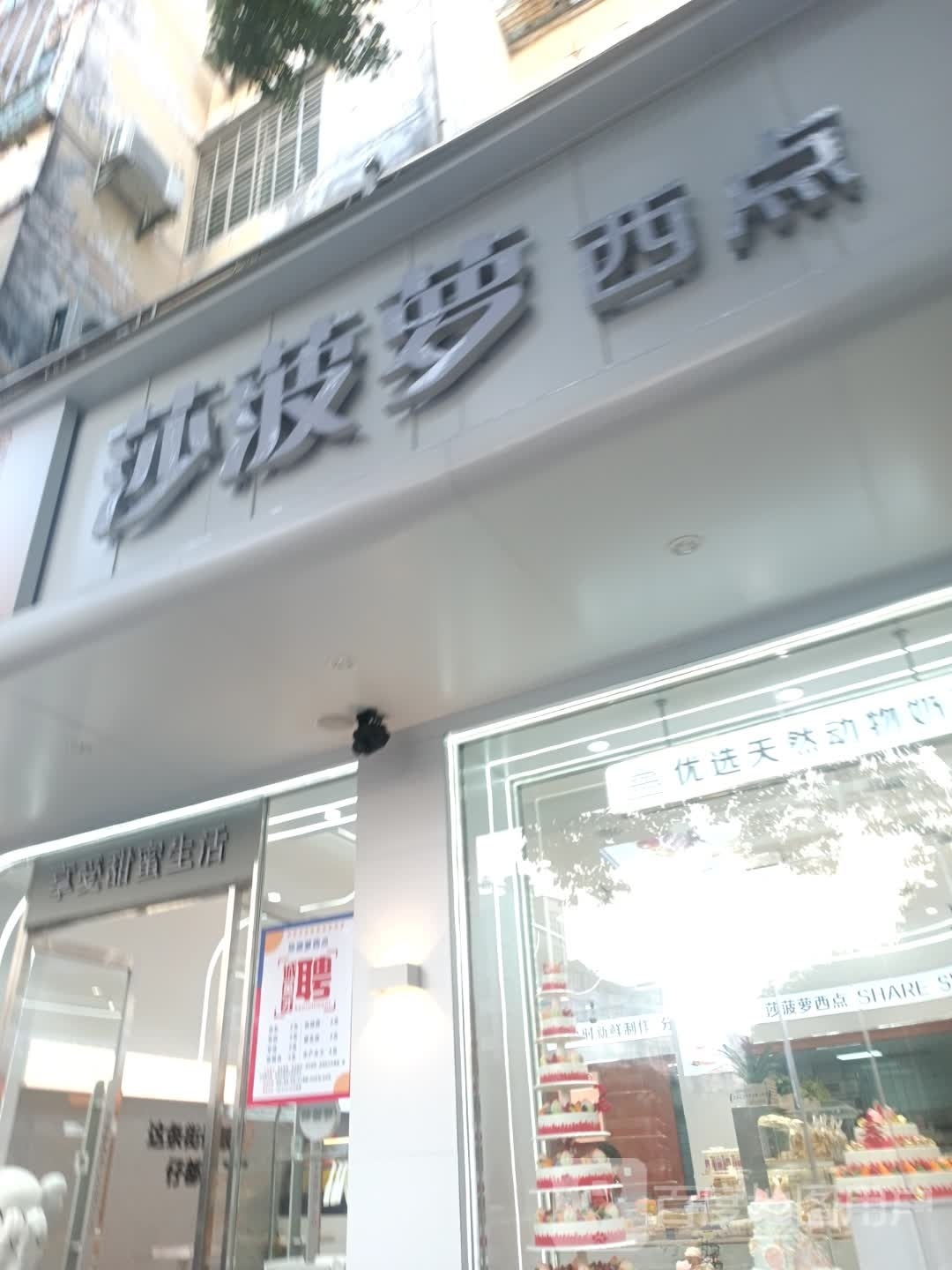 莎菠萝西点(江重圆盘)