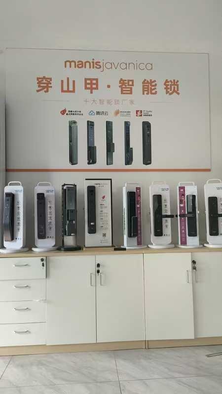 同城开锁(海岸赛拉维店)