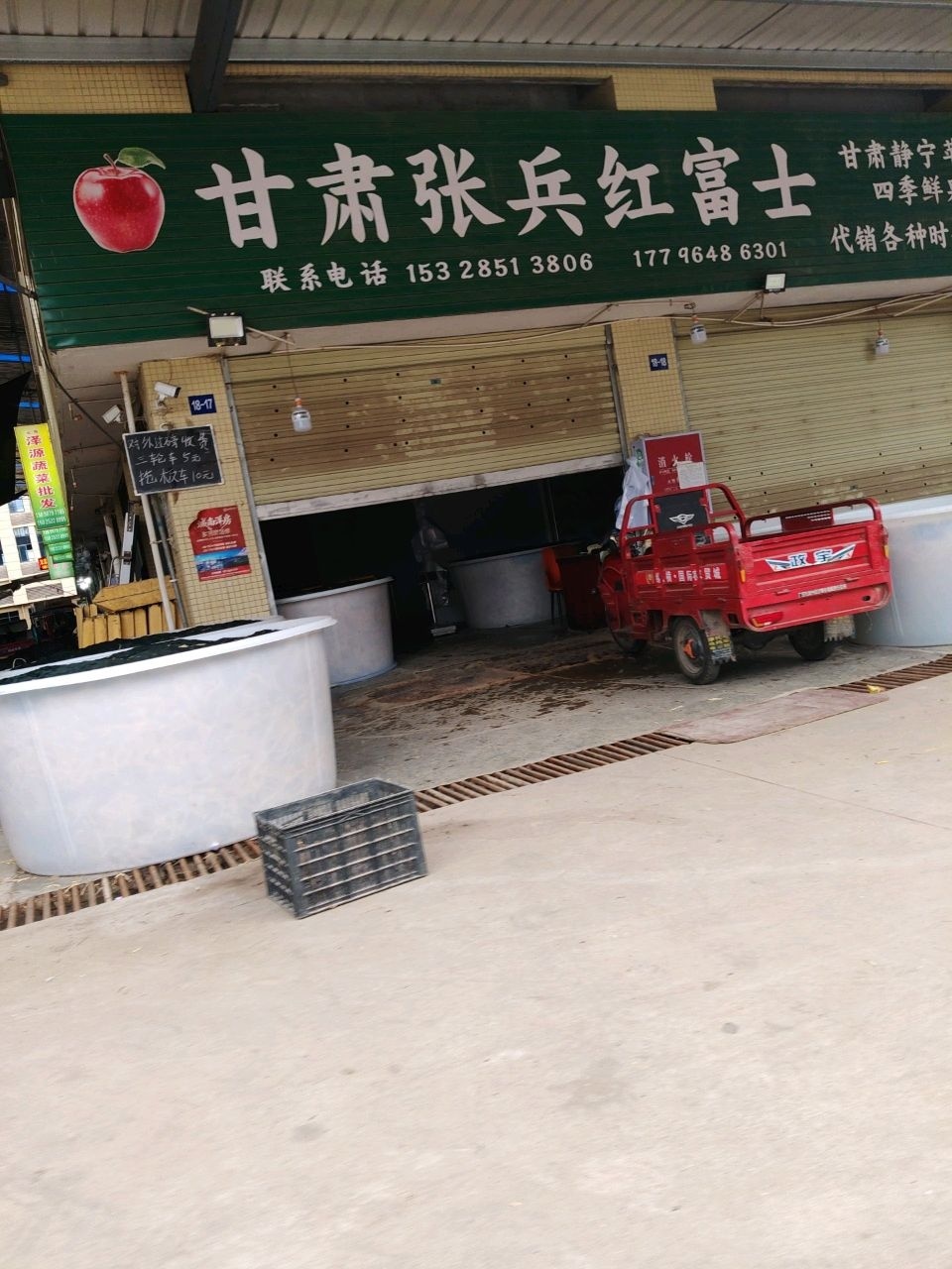 黄河清红富士