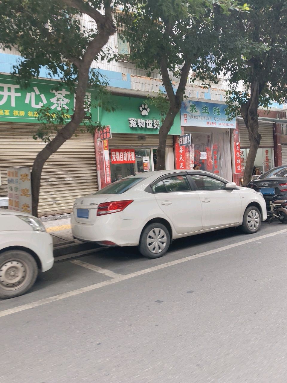 宠物世界