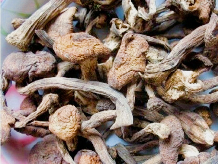 屯老二农家铁锅炖(一横路店)