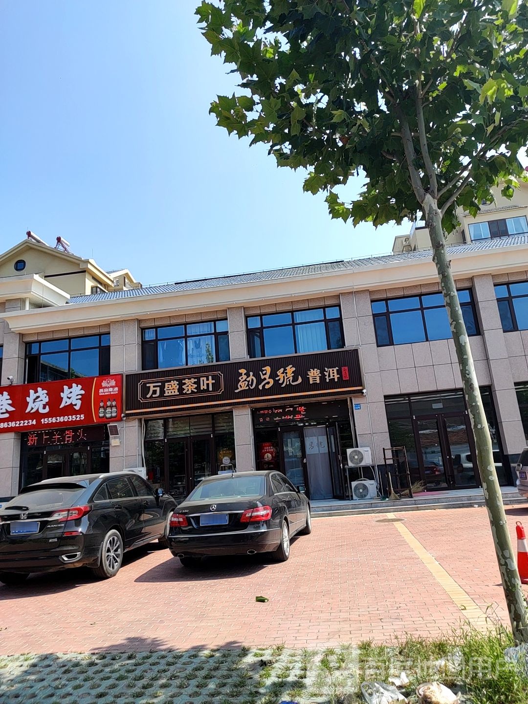 万盛茶叶