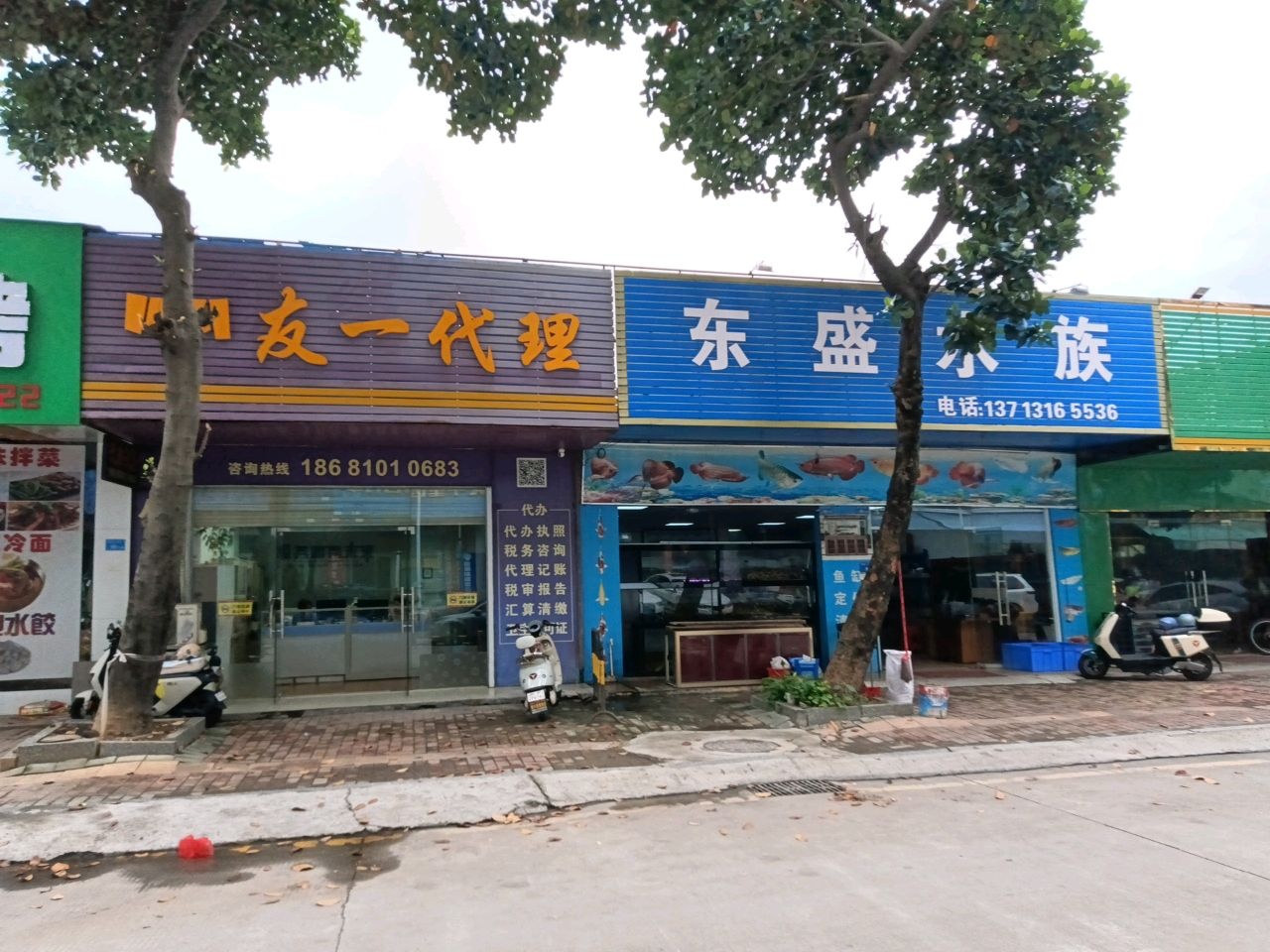 东盛水族