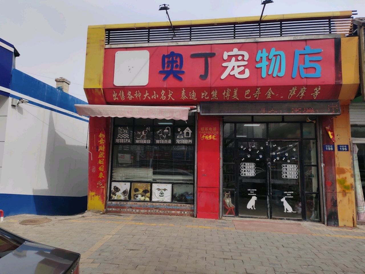 奥丁宠物店