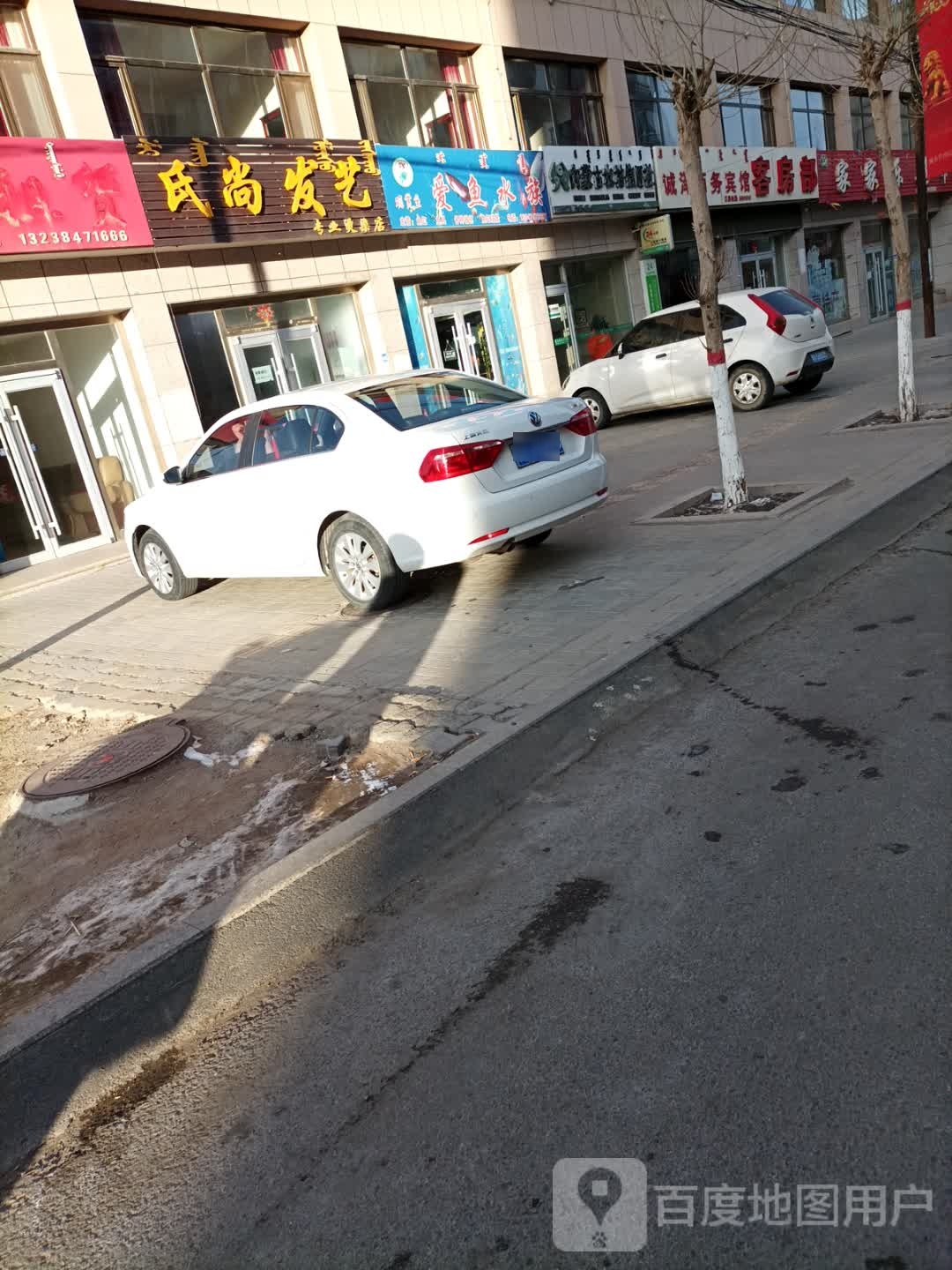 中旗西街爱鱼水族馆