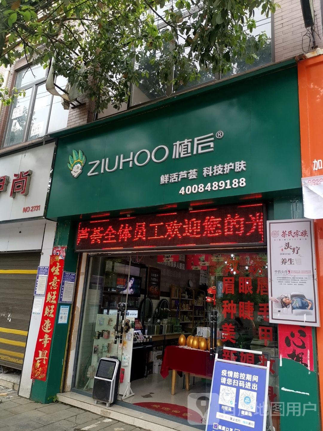 植后芦荟科级护肤