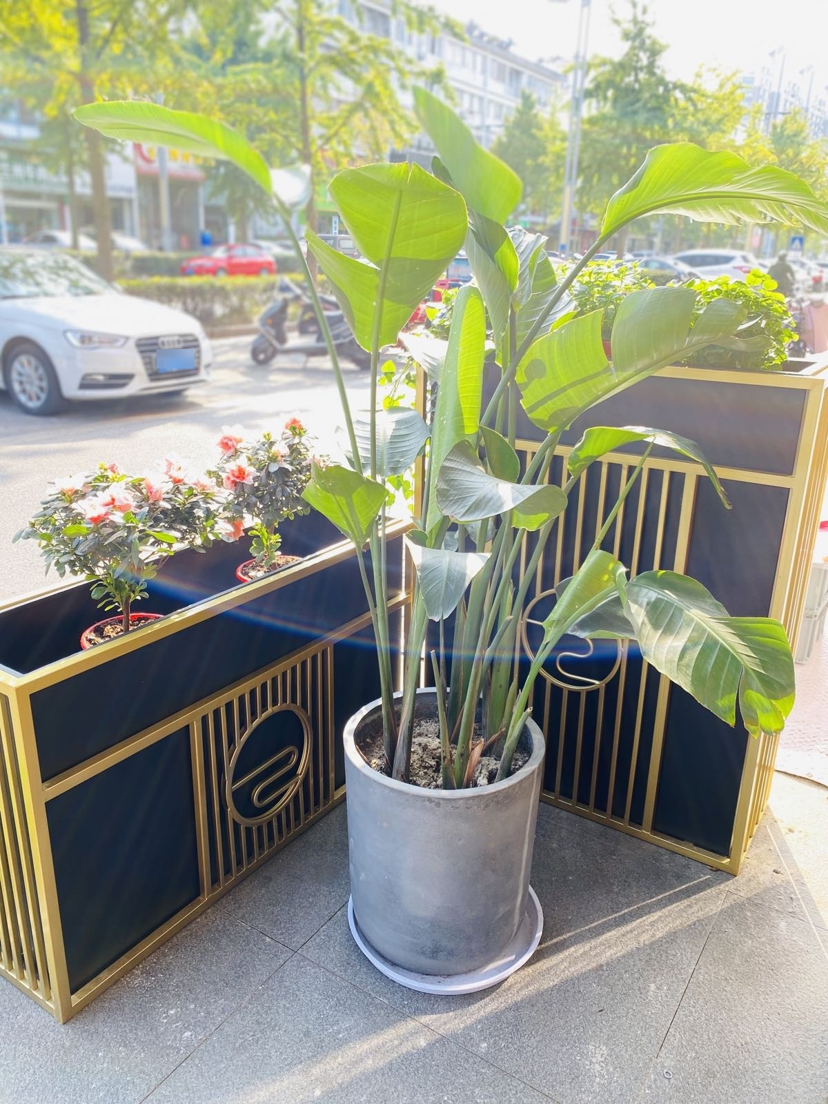 大茗坊茶业(望月路店)
