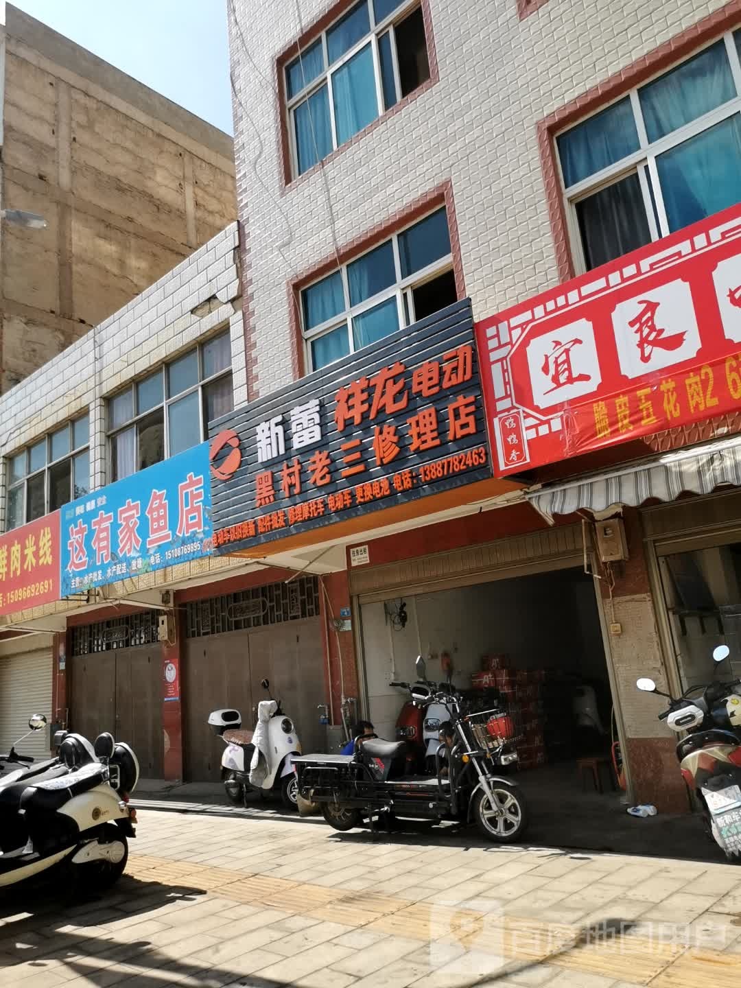 这有家鱼店