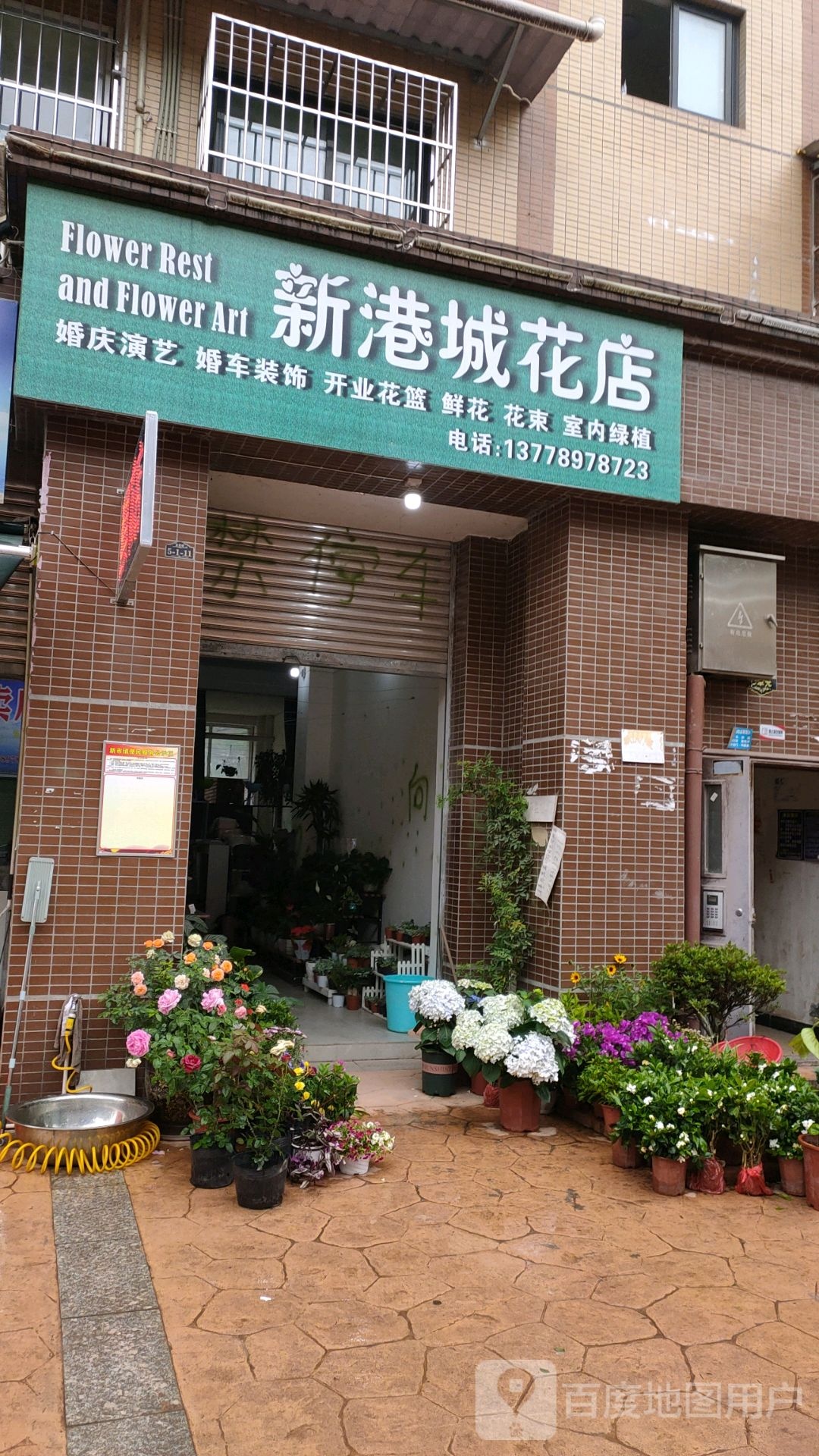 新港城花店