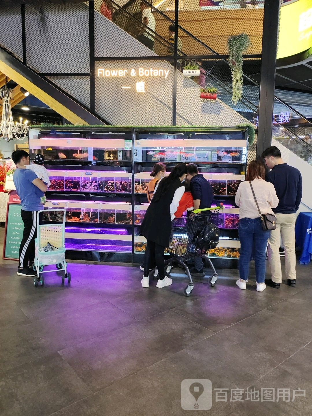 一植·绿植鲜花店(友谊阳光城店)