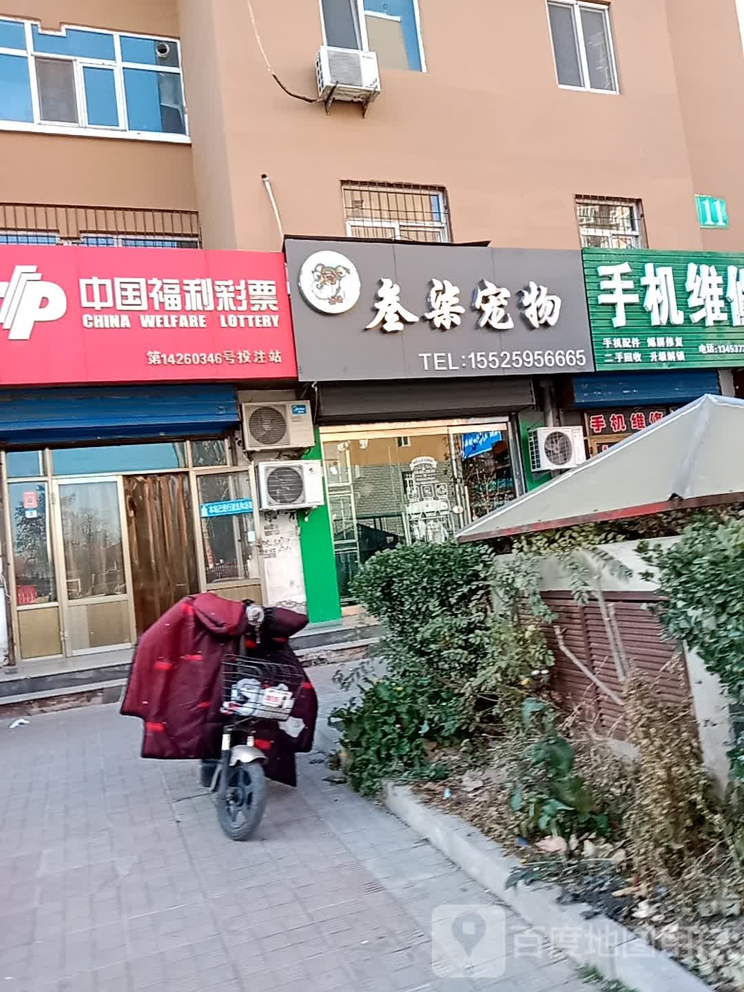 叁柒宠物
