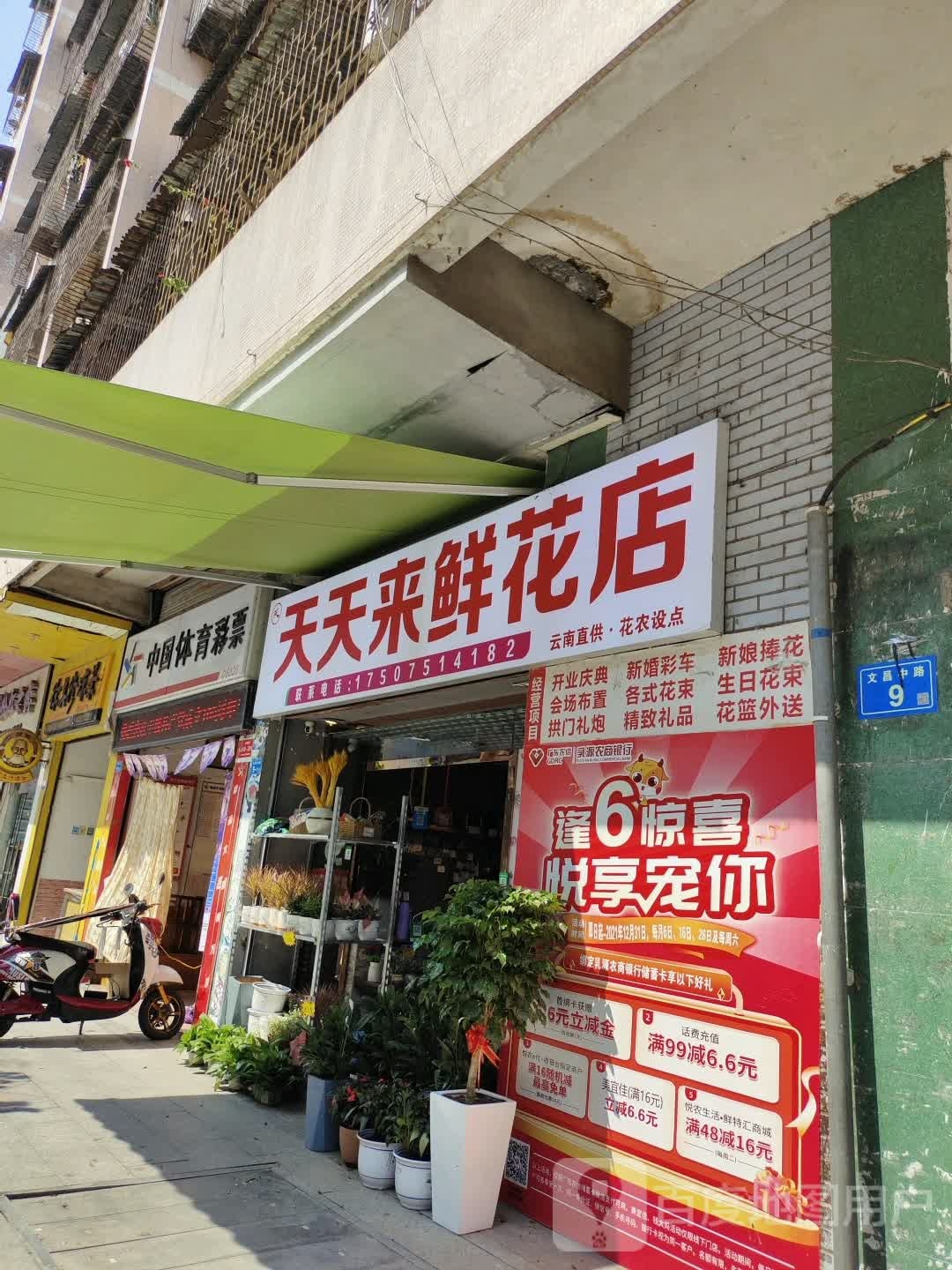 天天来鲜花店