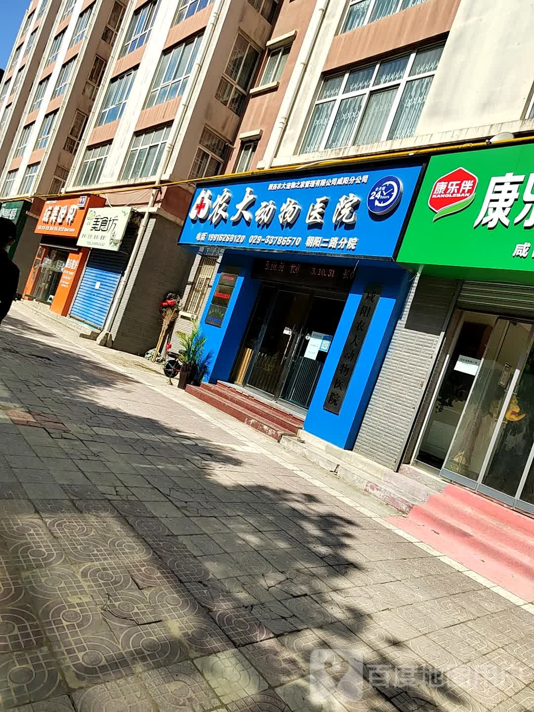 农大动物医院(朝阳二路店)