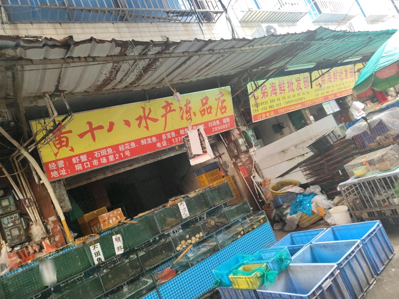 黄十八水产冻品店