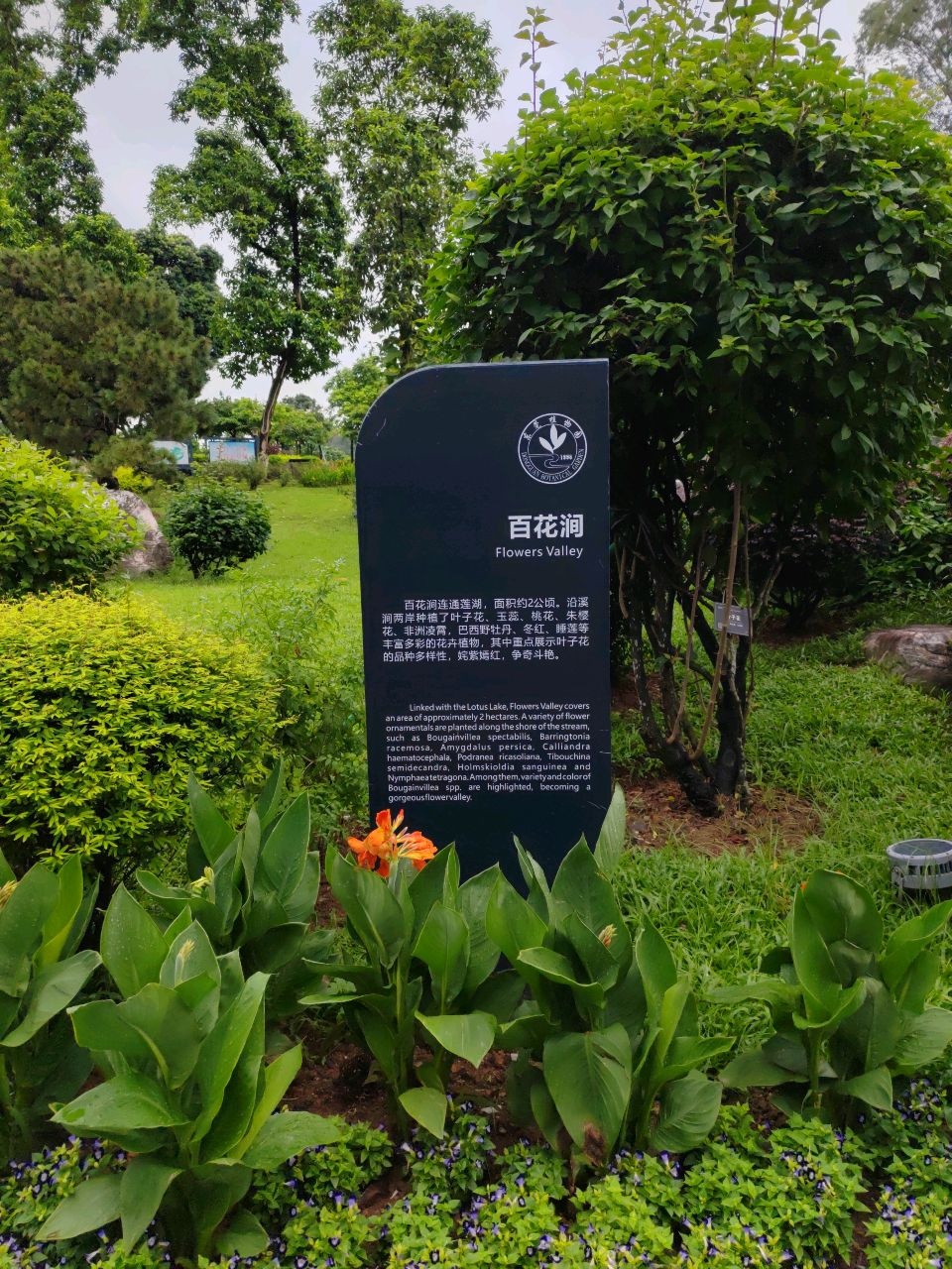 百花涧