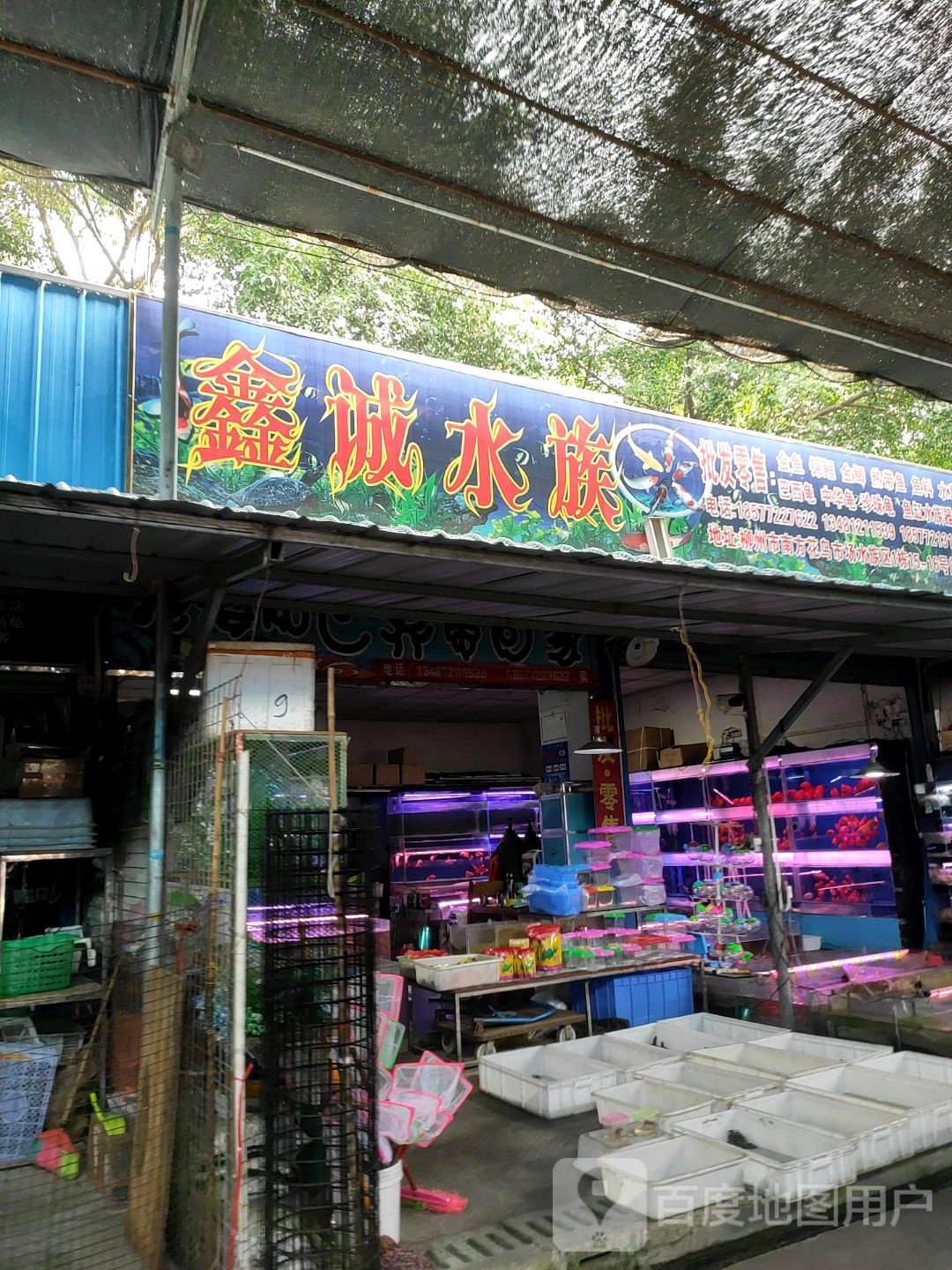 鑫橙水族