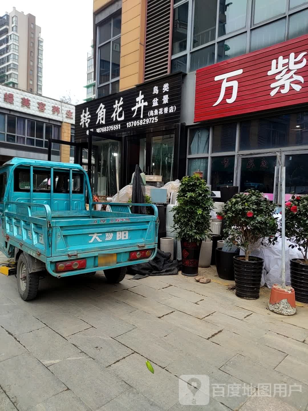 转角花卉