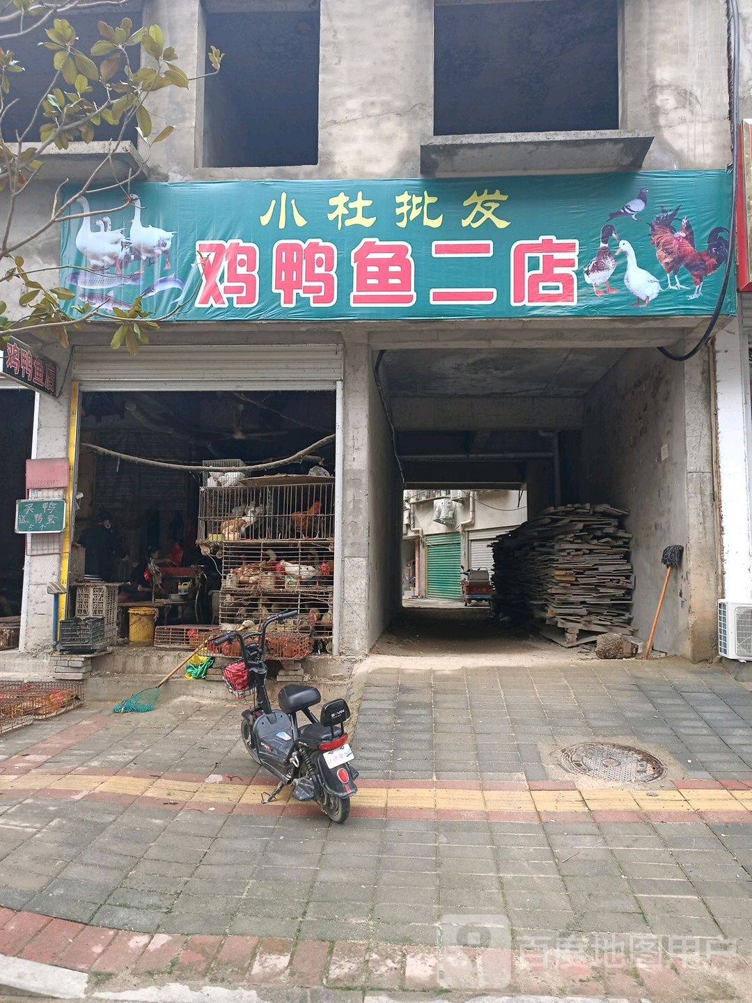 小杜批发(鸡鸭鱼二店)