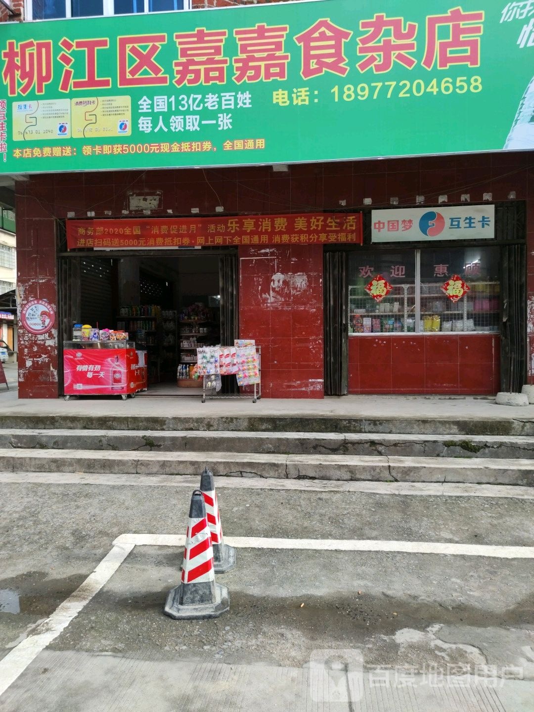 柳江区嘉嘉食杂店