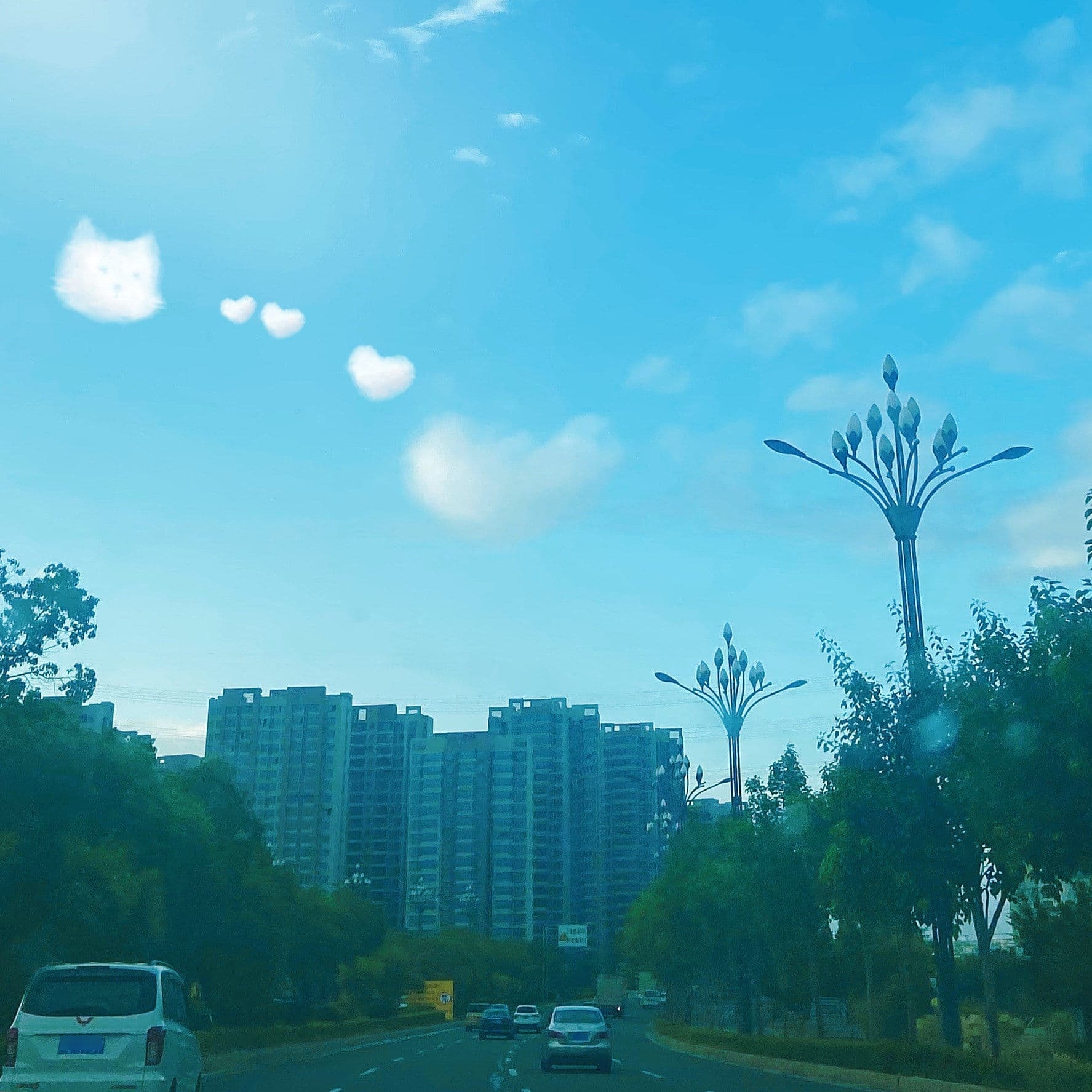 都跑海钓俱乐部