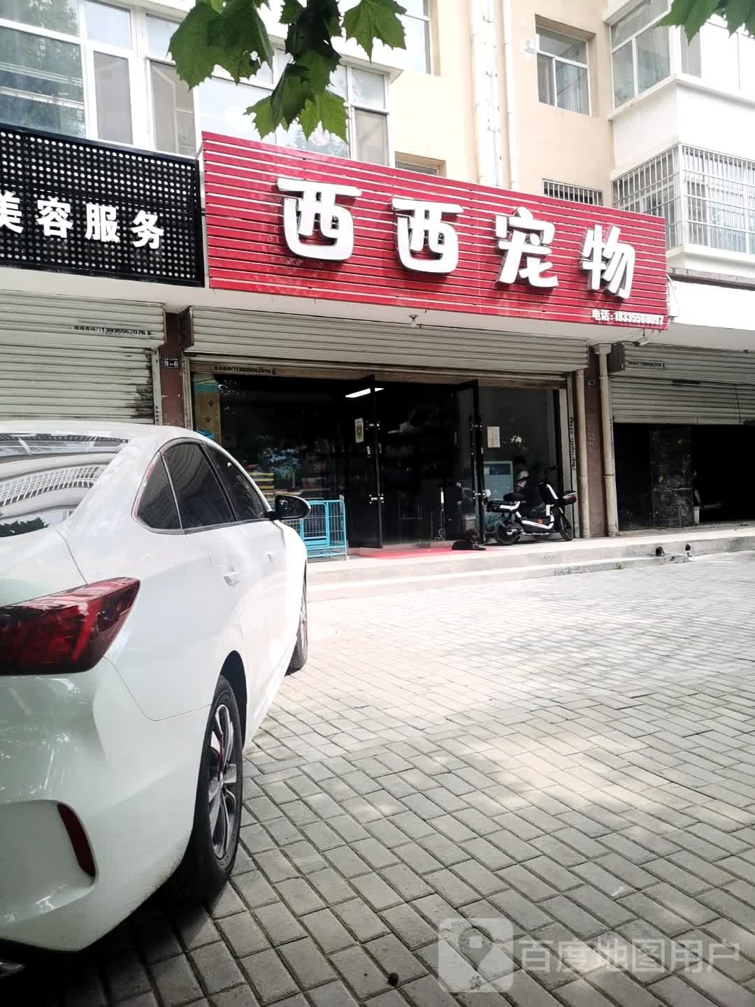西西宠物