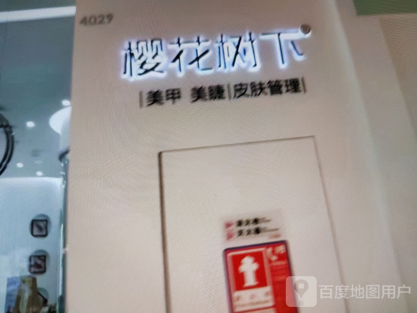 樱花树下