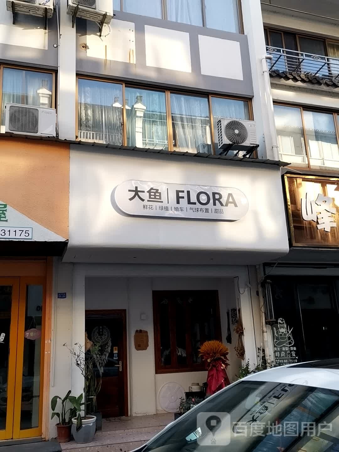 大鱼FLORA