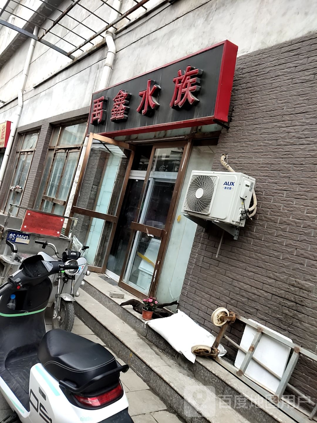 禹星水族(普济河桥花鸟鱼虫市场店)