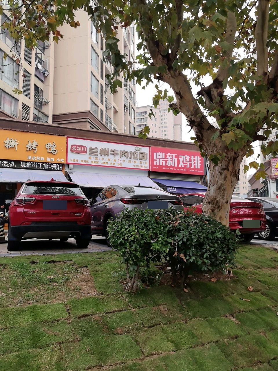 清真兰州牛肉面(天翼景城店)