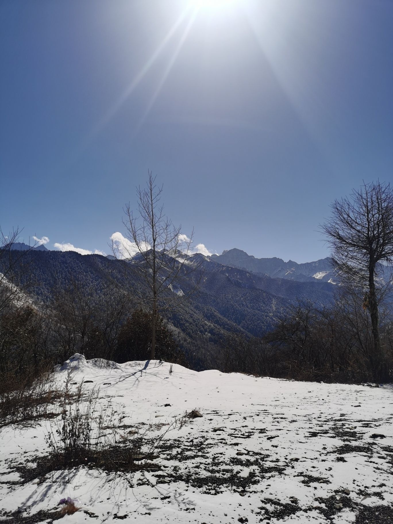 巴朗山大雪塘观景台