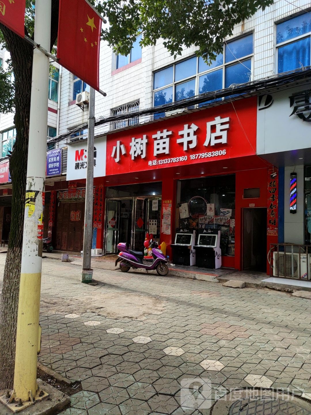 小树苗书店