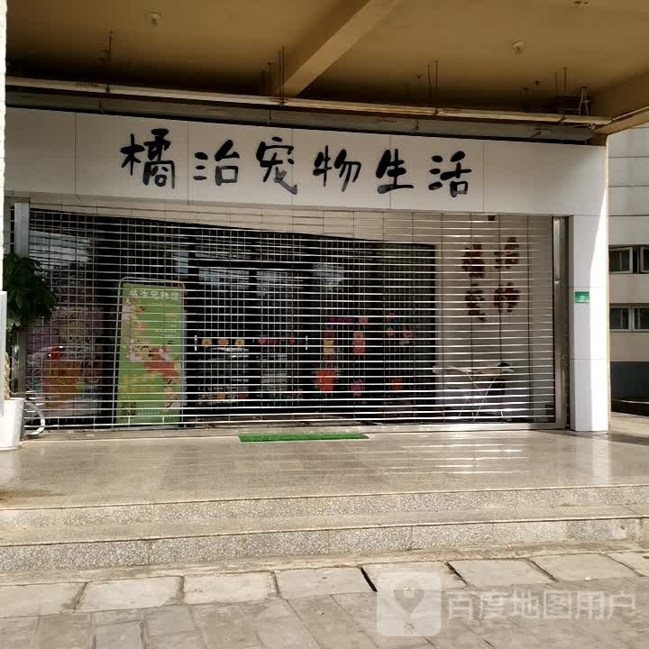 橘治宠物店生活