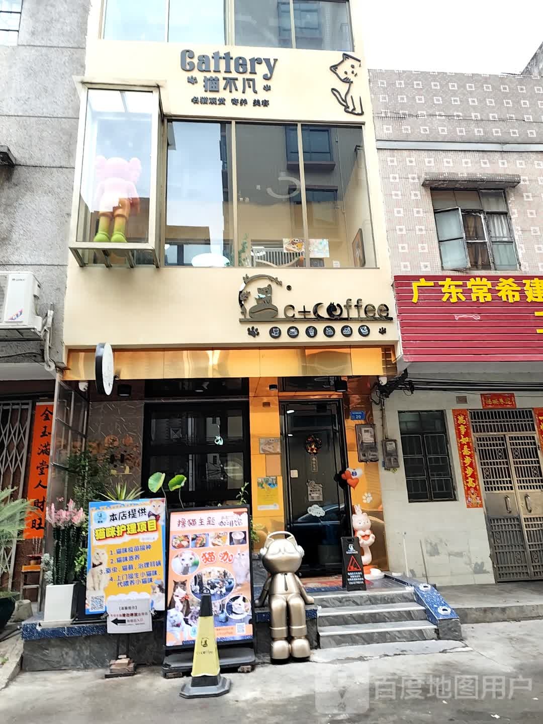 东莞市常平猫不凡宠物店