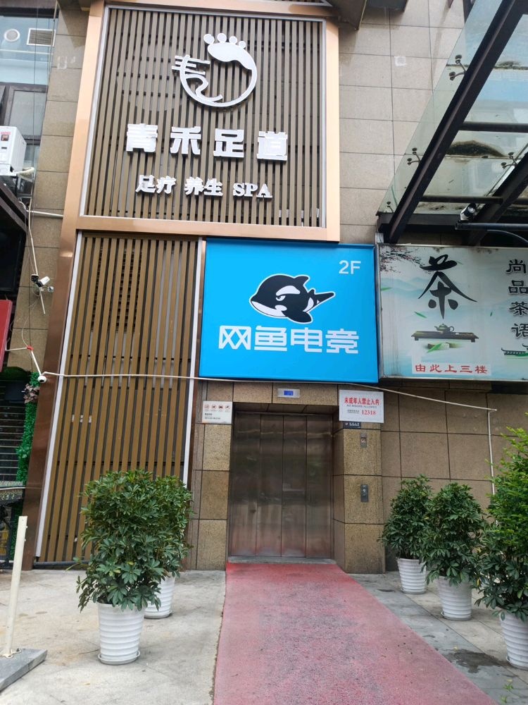 网鱼电竞(成都成华动物园熙悦广场店)