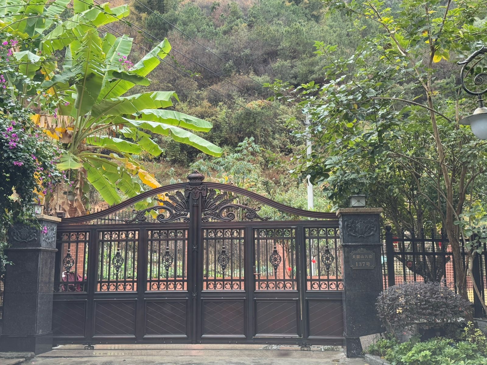 天麓山九街137号