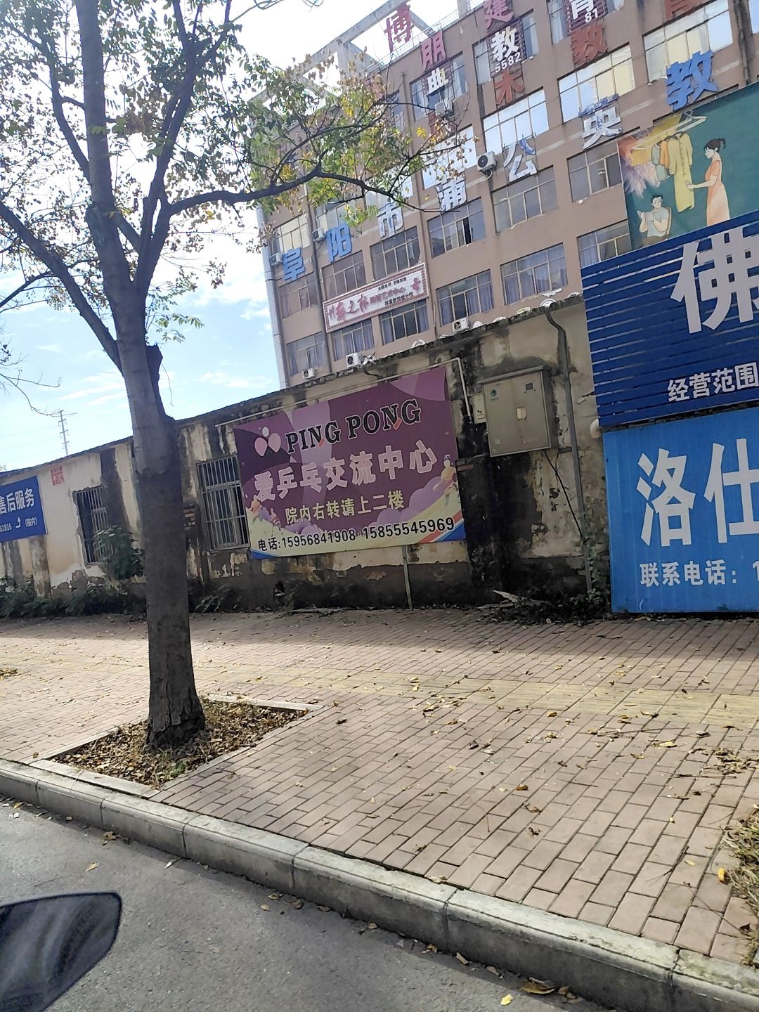爱乒乓交流中心