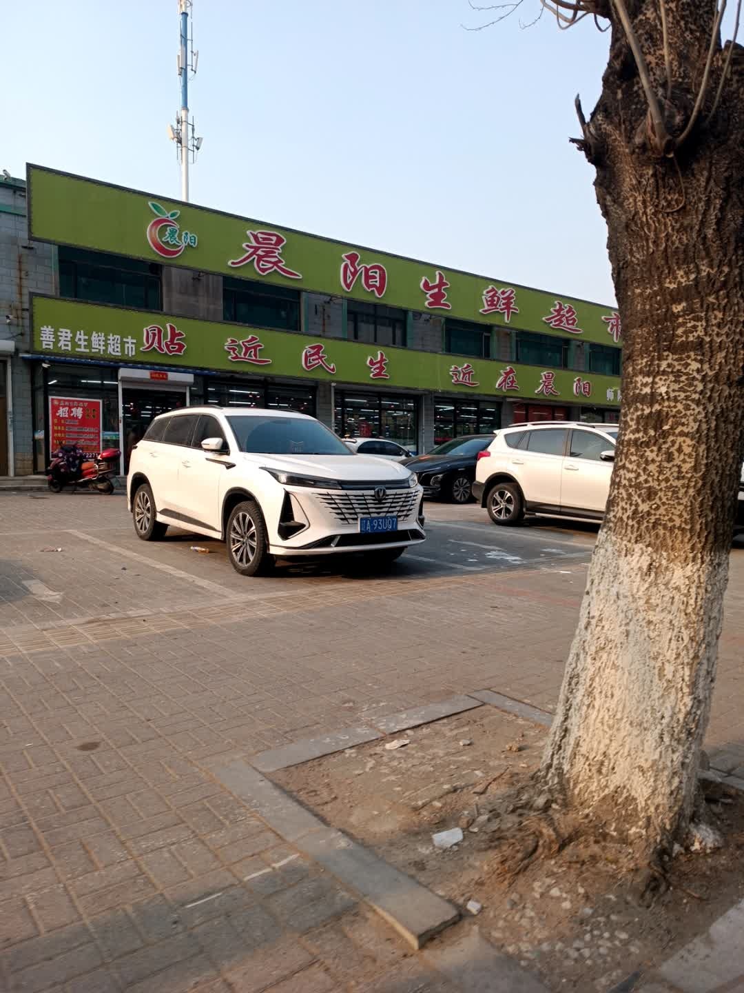 善君生鲜超市(师院店)