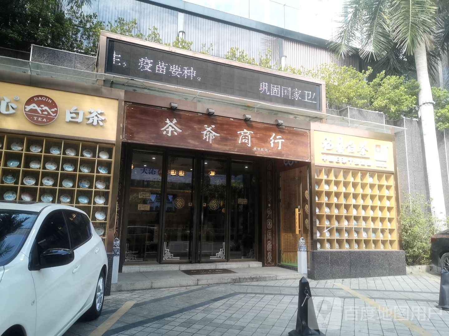 福鼎白茶(东风二路店)