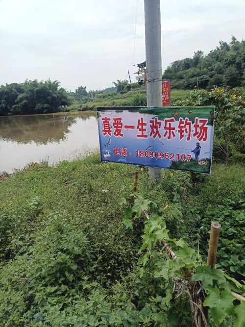 真爱一生欢乐钓场